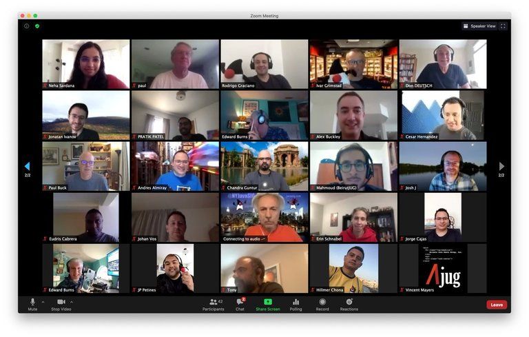 Tips Mengatur View di Zoom Saat Presentasi Online - David Pranata